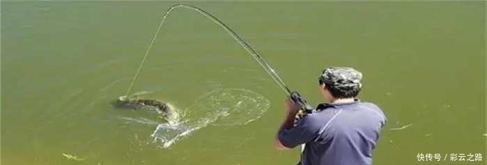 看过这篇文章之后,你就是垂钓大师!