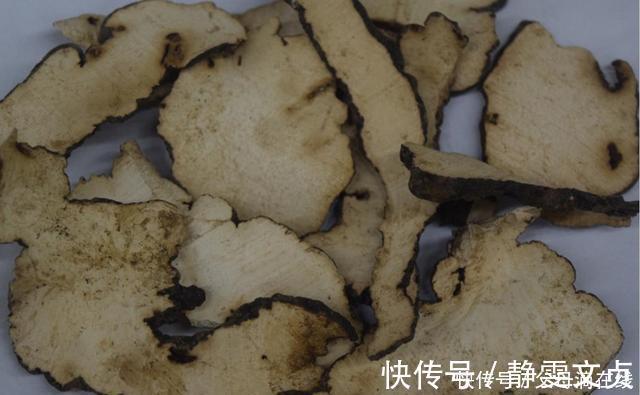 水湿|有一味中药取名不太雅，善于利水祛湿，去湿气诸药“无如此快”