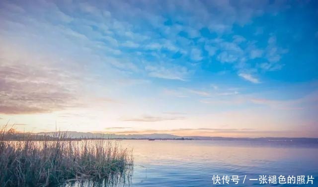 山中|席慕蓉|我曾踏月而来,只因你在山中