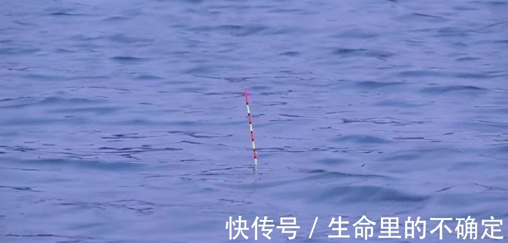 没有经验,不会线组搭配,没关系,这样配线组,大鱼小鱼都合适