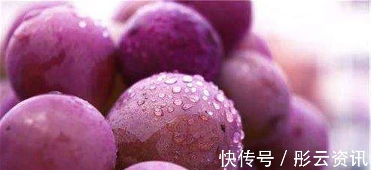 膳食纤维|秋天想苗条,女性吃的食物,有害物质排出体外,减轻体重,肌肤好