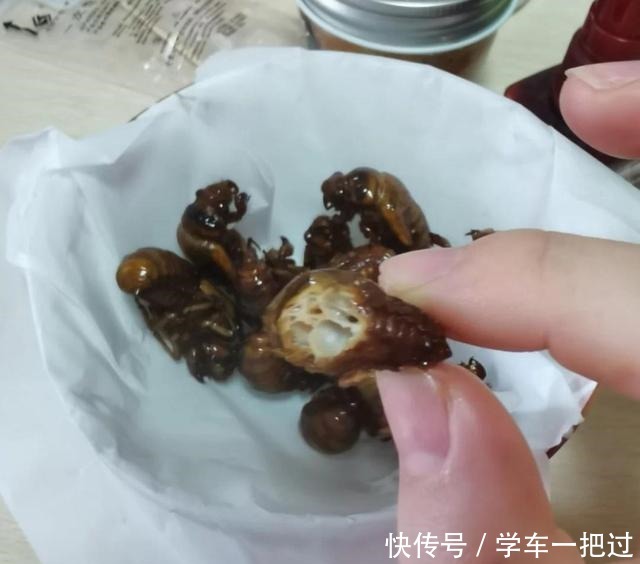 室友带来的这些“美味特产”,实在是无福消受,尝一下差点绝交!