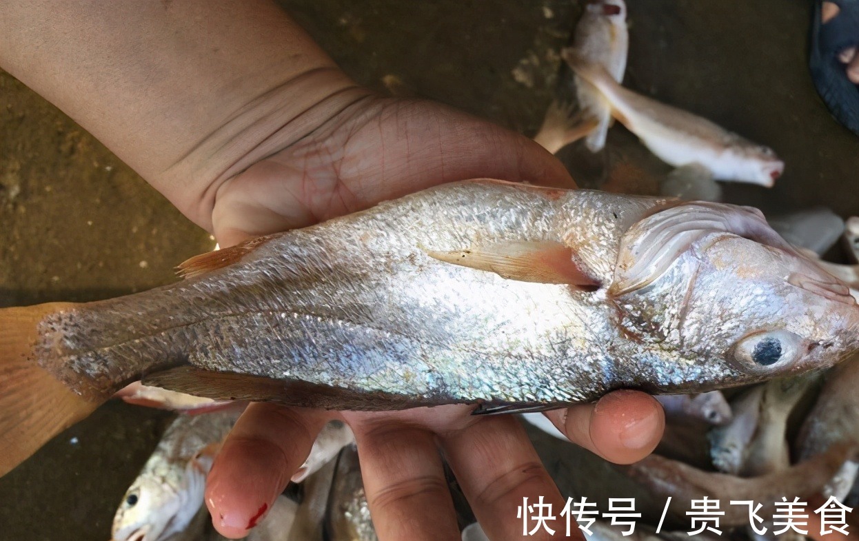 健康|市面上这4种鱼要少吃,大部分人经常买着吃,没营养还不健康!