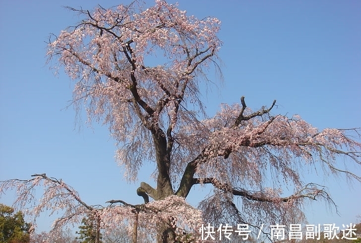 生肖|顺风顺水！12月红红火火，有喜事的生肖