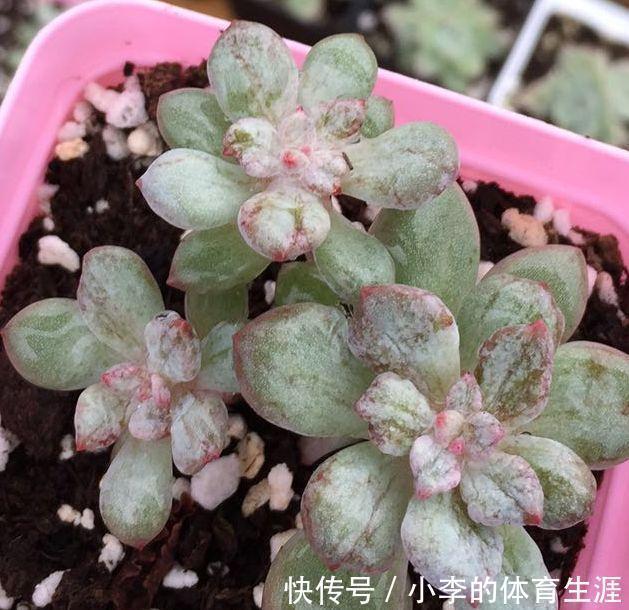 肉肉|要想成为一名合格的肉友,你还需要知道这些黑话