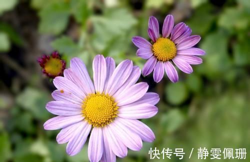 骨骼|关于男生的身高问题,大家一起来来讨论下!