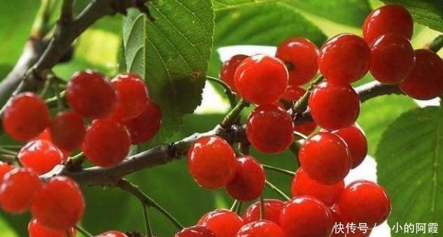 维生素b1|中年女性,适合常吃3种食物,延缓衰老,降压降脂,好处多多