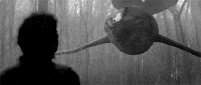 |搞笑GIF趣图:这都不分手,那就是真爱了