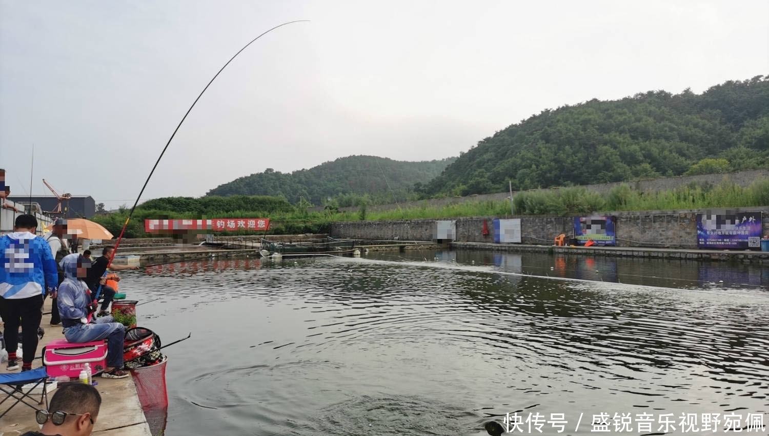 鲤鱼|鲫鱼、鲤鱼、青鱼和草鱼都喜欢什么味型？气味诱鱼的几个关键点