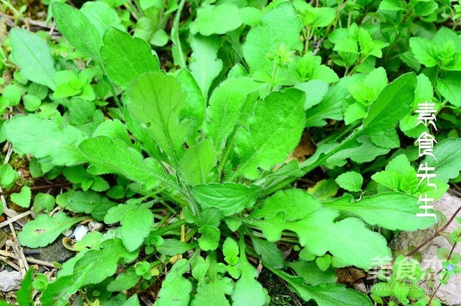 香菇|它被称为天然消炎药，夏季不管多贵都要多吃，排出体内湿气一身轻