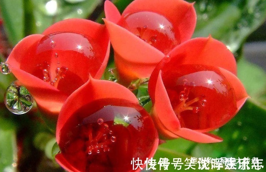 愚孝|最“愚孝”的三个生肖男,对父母言听计从,从不考虑妻子的感受