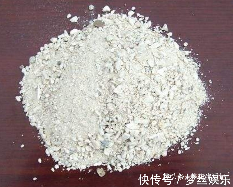 月月|月季花开花少试试这“3种”肥,夏秋开花简单繁多,观赏效果强