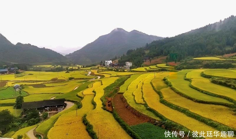 一名热爱旅行的人，可以错过都市的喧哗，但不能错过“梯田”