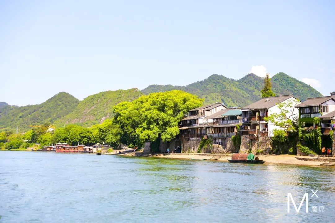 炎炎夏日来啦！赏花、观景、饮茶……带你觅夏凉！