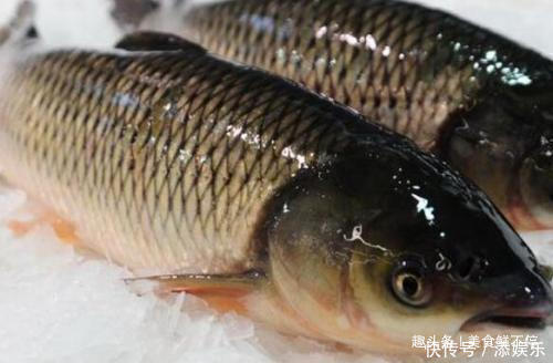 天生“补脑菜”,吃了提高记忆力,多给孩子做