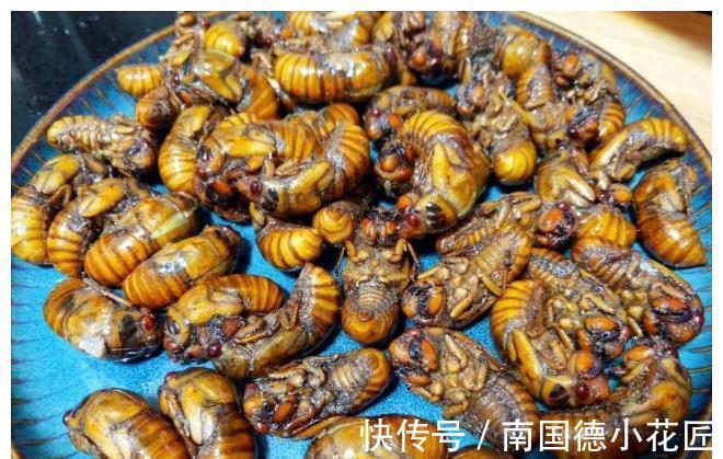 玉米粒|早起不到1小时,简单做个早餐,自己做饭省钱又美味健康