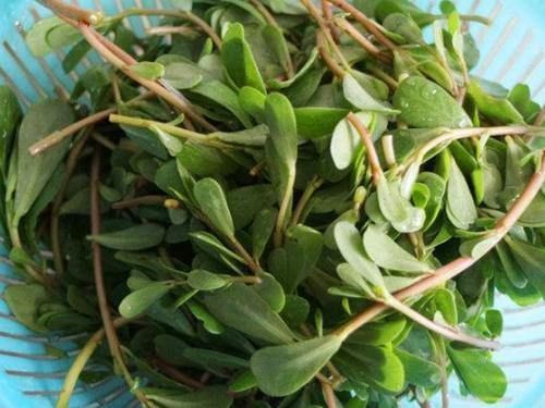 荠菜|肝病患者注意了，餐桌上这4物经常吃，养肝护肝，或远离肝病