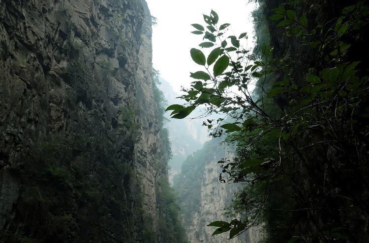 壶关|太行壶关，壮美八泉峡