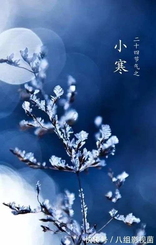 梅花饺!小寒时节,让我们一起走进诗词,感受属于“小寒”的那份韵味。