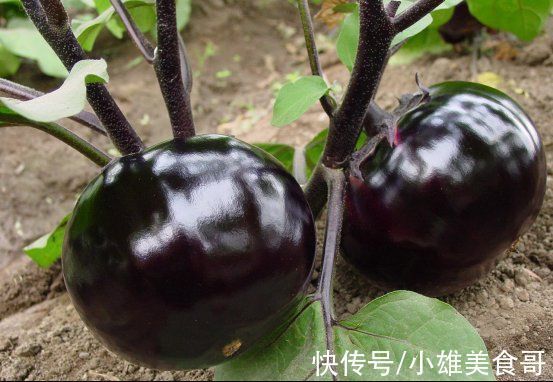 食物|女人建议:6种含“花青素”多的食物,要常吃,健康营养,显年轻