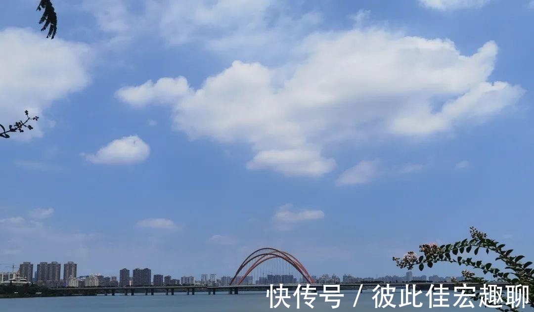 南昌|沿衢深树，夹岸繁英 ‖ 南昌艾溪湖湿地公园