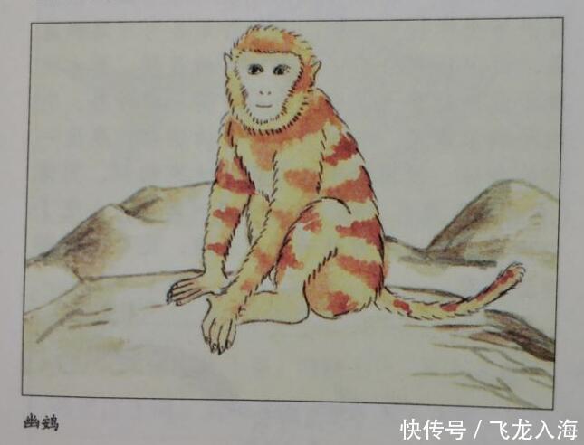 山海经|山海经北山经中的怪兽全图文解说四,其中怪兽你认识几个