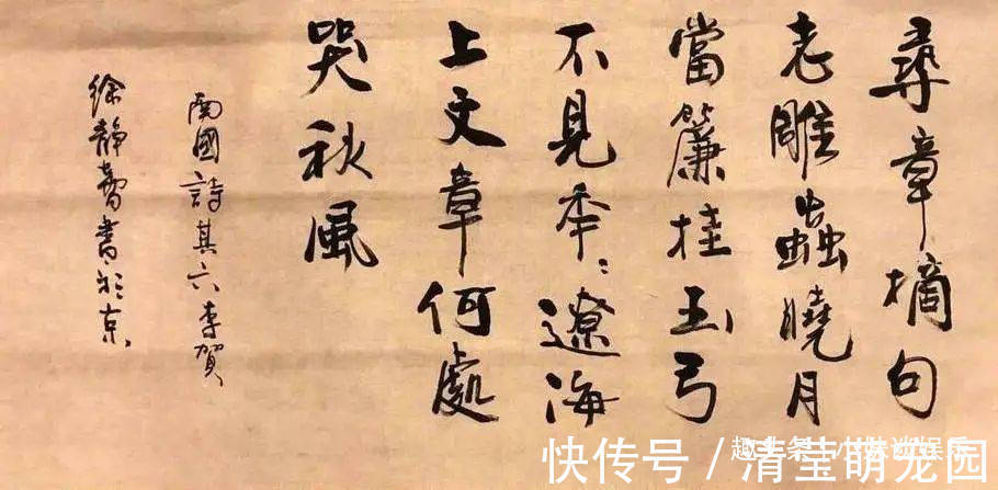 书法&看完董卿书法,再看徐静蕾书法,谁更胜一筹