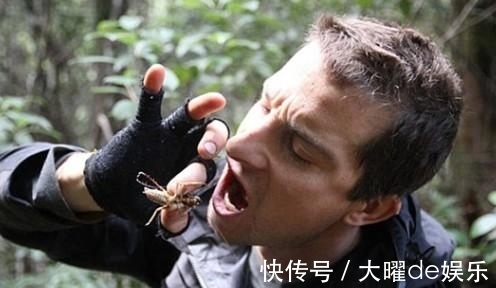 贝尔·格里尔斯|“食物链顶端”的贝爷，为何消失了？