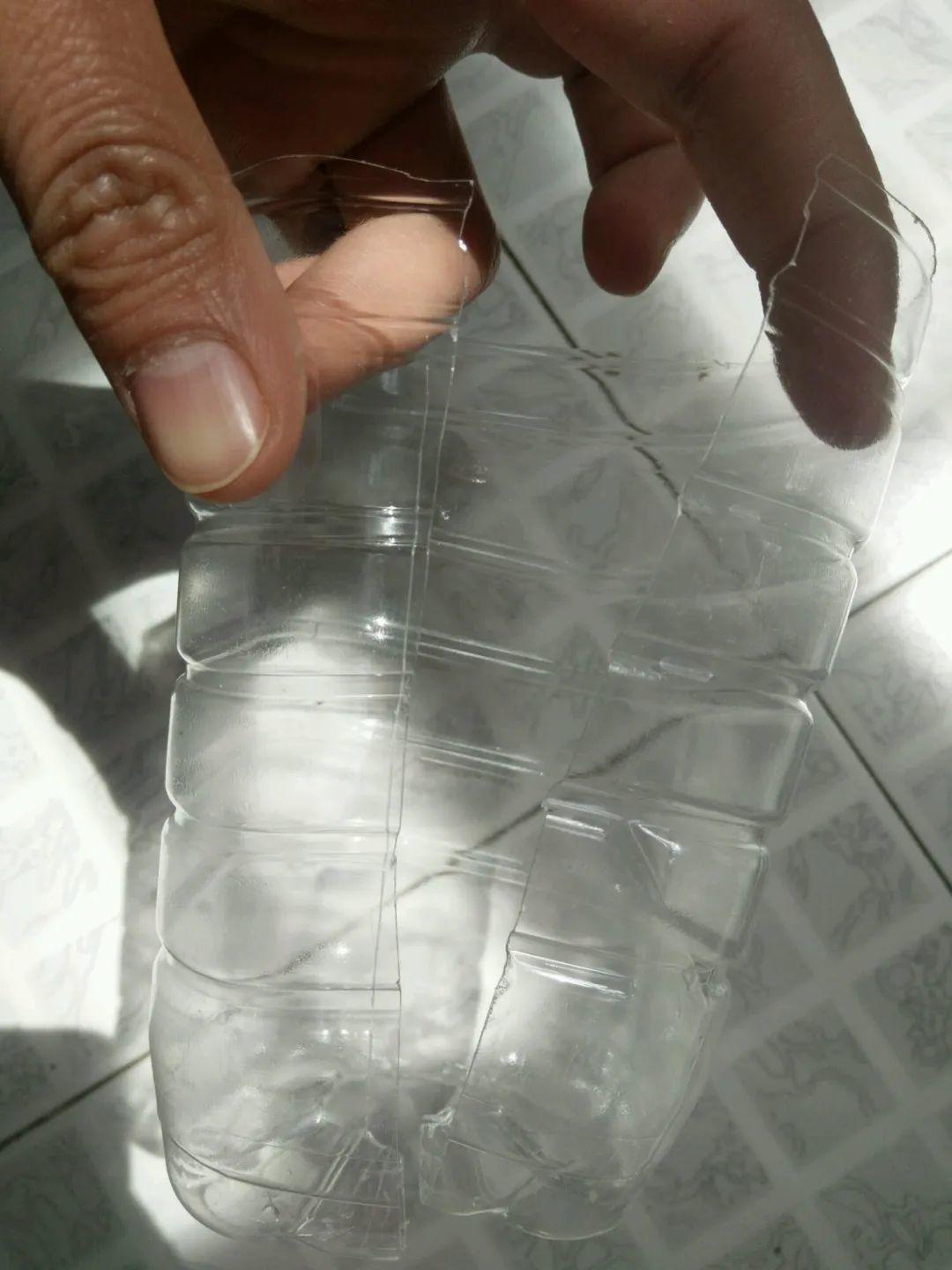 1个塑料瓶,居然有8种养花方法,省钱又好用!