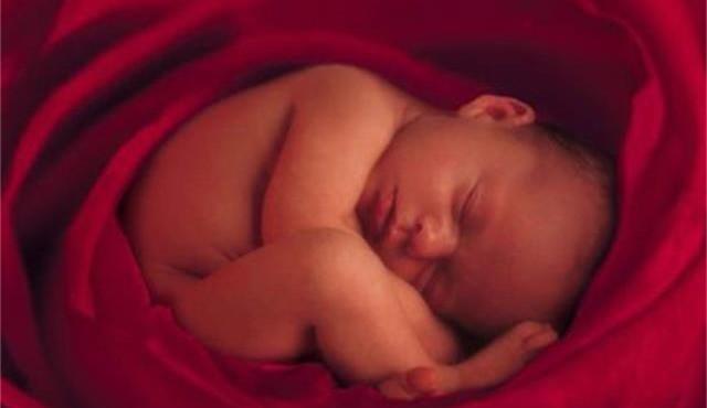 宝宝们|为什么有的孕妇胎动厉害,有的胎动就很轻微?原因终于找到了