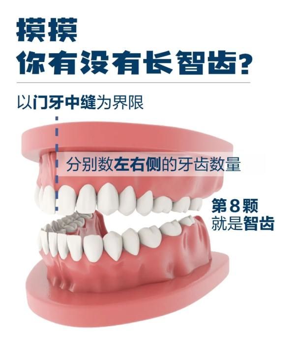 智齿|先后住进ICU！一颗智齿“放倒”两壮汉！这四种牙，赶紧拔！