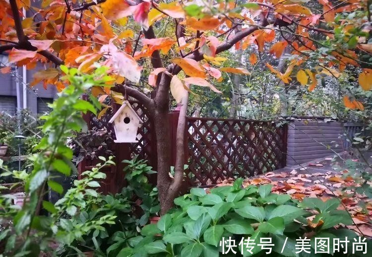 小院|荒废多年的80㎡小院,2年半时间打造成下沉式花园,太漂亮了!