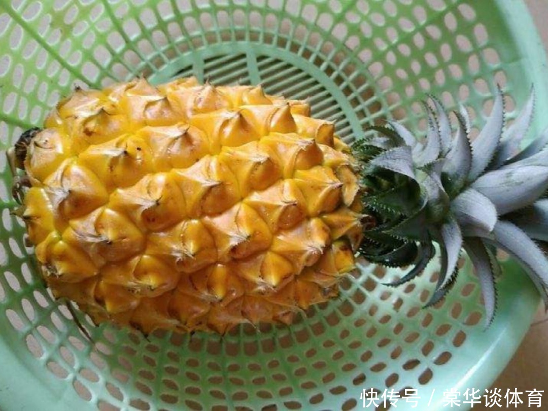 酸性|天生爱淋雨的花,多淋几次,连肥料都省了