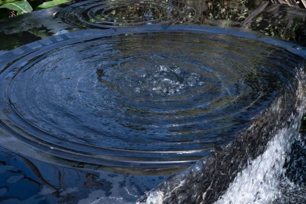 遇水|山谷处觅林遇水时见鹿