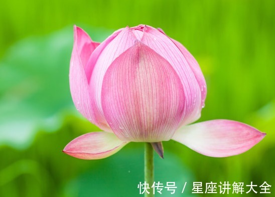 财运|11月26日开始，运势节节高，4属相财运旺盛，生活金玉满堂