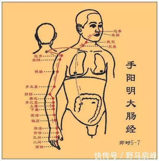 睡眠|失眠的人，虎口有个点特别疼！用力掐就睡好了