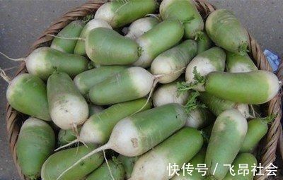 白萝卜青萝卜红萝卜区别大,营养做法都不同,不懂别乱吃了