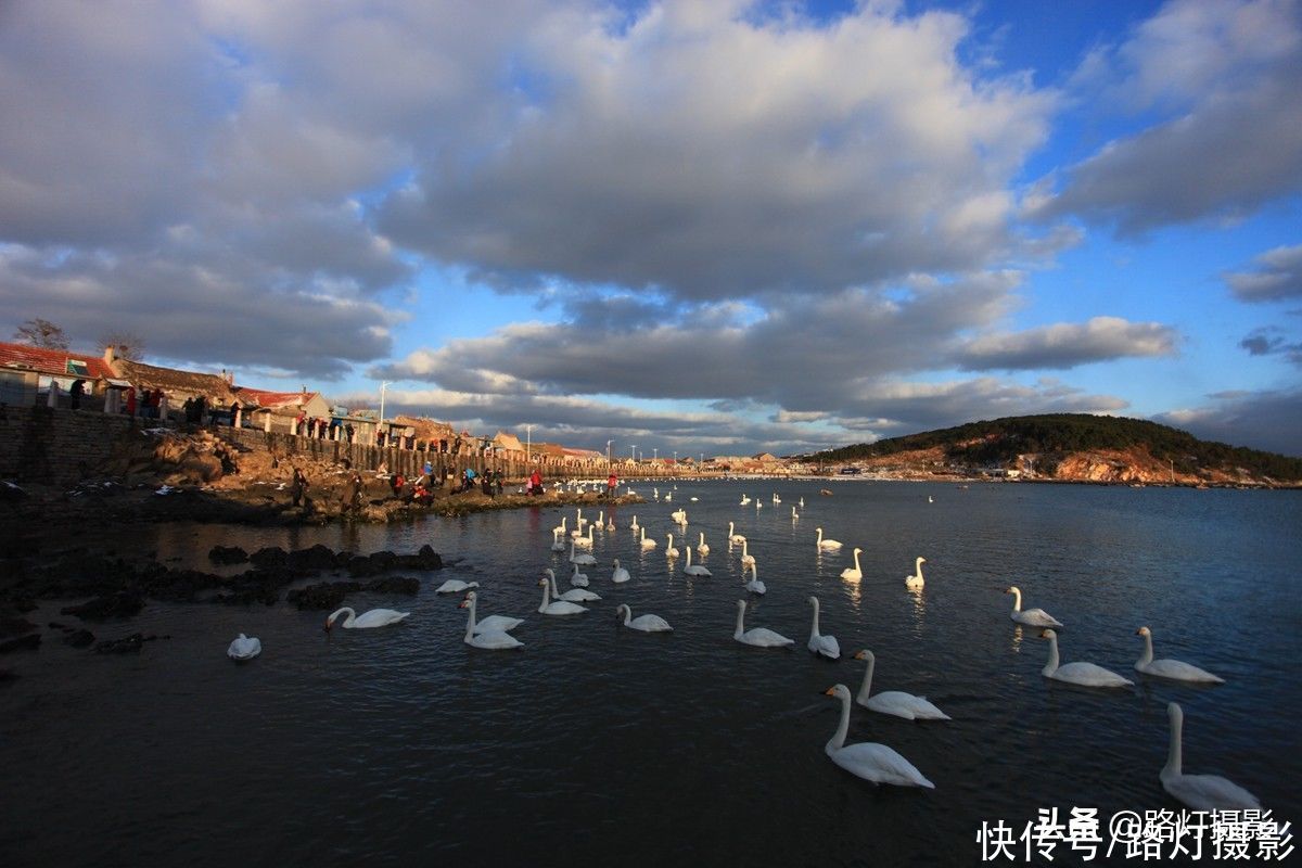 夏天|中国夏天最凉快的6个城市，干净舒爽风景美，你最喜欢哪一个？