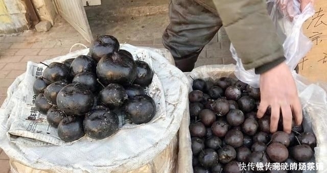 东北大哥路边卖它,8元1斤,无人识货,我全买下过年吃最好