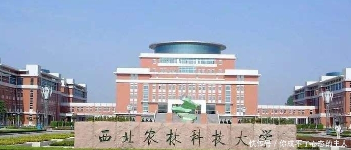 这些大学性价比超高，适合成绩中上的同学捡漏，很容易考上