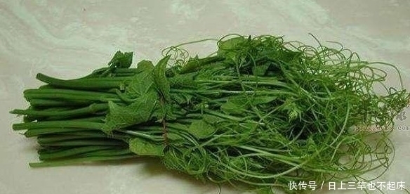 芥蓝|想长寿要先会吃，3种食物不错过，补充营养，有益健康