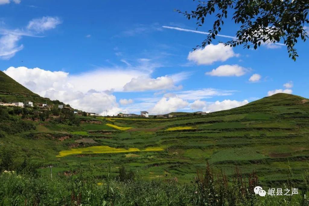 岷县的春夏秋冬，看不够！