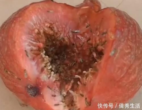 荔枝|6种水果有“寄生虫”,还能给孩子吃吗?医生建议:这些要少吃