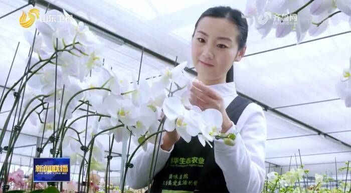 樱桃|趣味定格动画:白天和夜晚的小美有什么不一样?晚上会变成船员