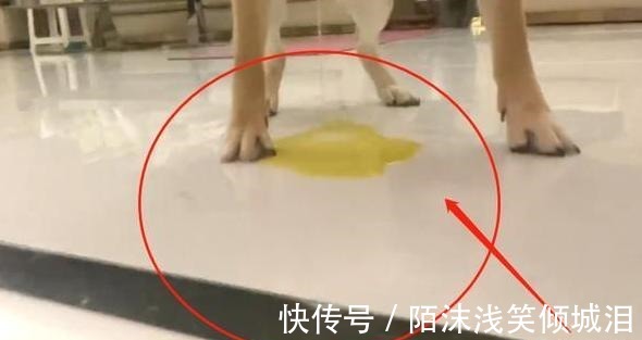 瓢哥|《向往4》录制，王珞丹喊话想退回瓢哥，谁注意到官方回话