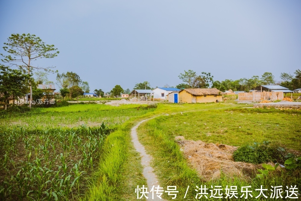 野生动物|尼泊尔最冒险的世界遗产奇特旺国家公园，村民与猛兽相伴