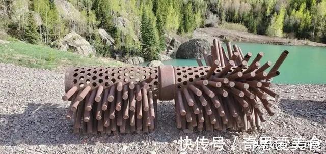 网络&网络有多“恐怖”?不管你问什么,“万能”的网友都知道