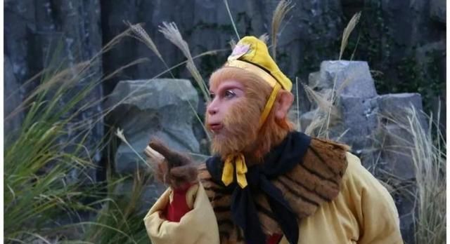 尼姑庵|强推5本书名吸引眼球的网络小说:眼缘很重要,剧情也靠谱