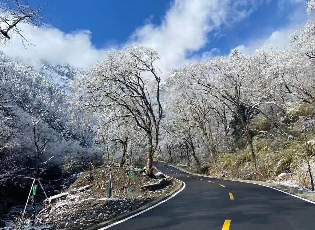 地方|汶川下雪了！这些地方，你最想去哪个？