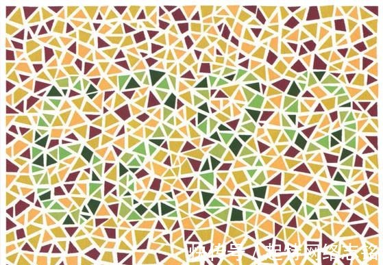 盆花|5张色觉测试图，第3张正着看是金鱼，斜着看是盆花儿